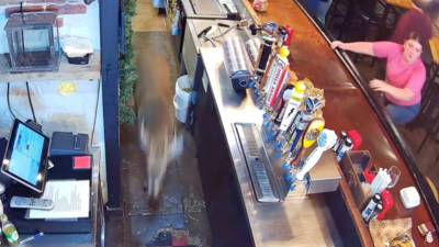 Τένεσι: Ελάφι σπάει τζαμαρία και εισβάλλει σε εστιατόριο - Τραυματίστηκε νεαρή θαμώνας (βίντεο)