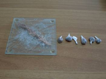 Σύλληψη 32χρονου για ηρωίνη στη Σπάρτη