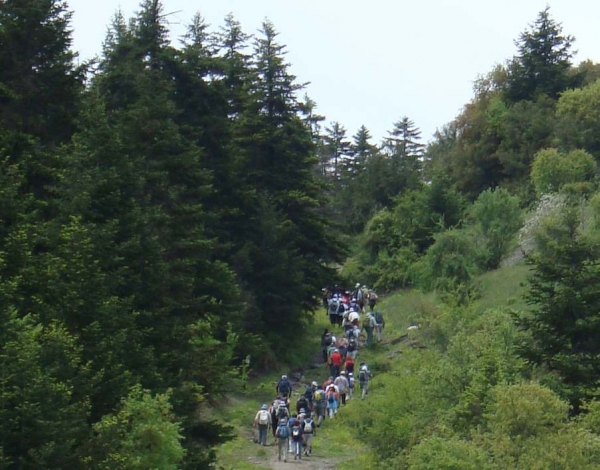 Ο ΕΟΣ Σπάρτης στα Τσίντζινα