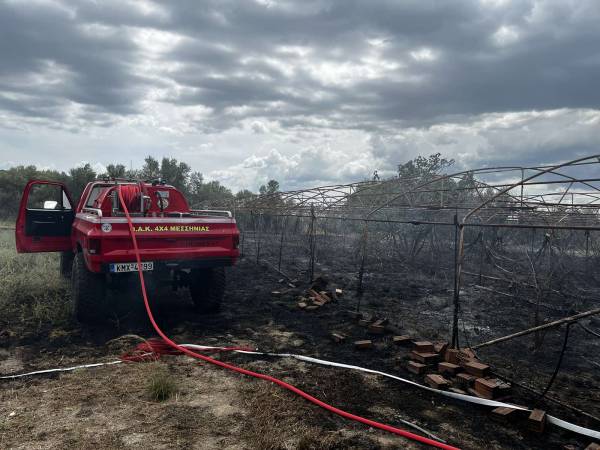Μεσσηνία: Κάηκαν καλλιέργειες με συκιές και ελιές στα Ελληνικά Άνθειας (βίντεο)