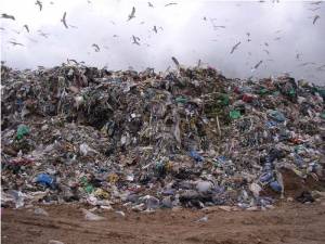 Καμπανάκι Νίκα για το κόστος των σκουπιδιών