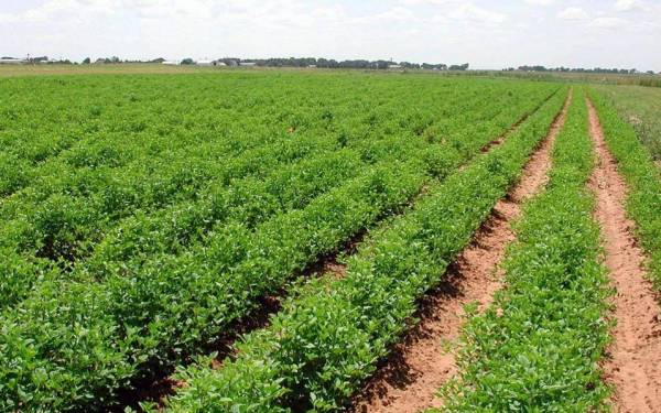 Εκδήλωση για νέους αγρότες στην Τρίπολη