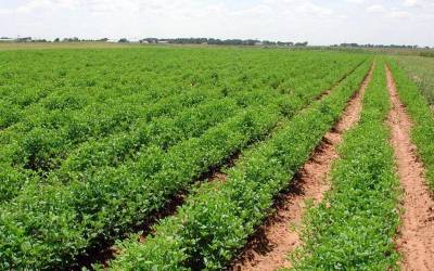 Εκδήλωση για νέους αγρότες στην Τρίπολη