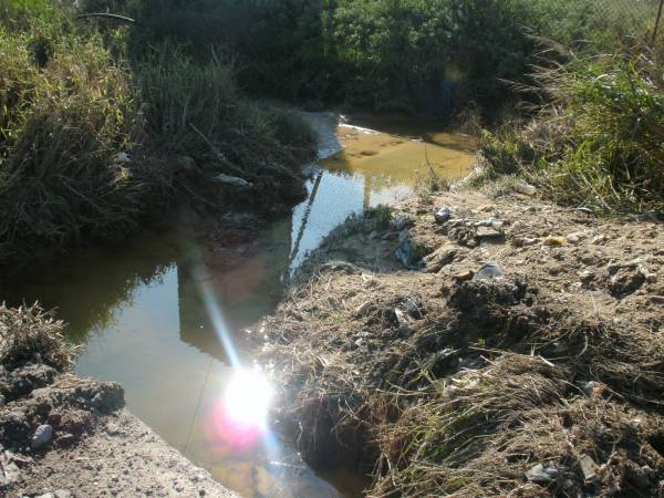 Υπόμνημα για τις ζημιές στην περιοχή του Δήμου Μεσσήνης