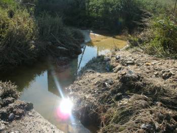 Υπόμνημα για τις ζημιές στην περιοχή του Δήμου Μεσσήνης