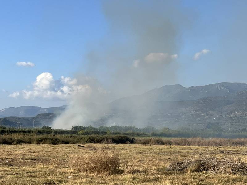 Καλαμάτα: Πυρκαγιά σε καλάμια κοντά στον καταυλισμό "Παναγάκια"