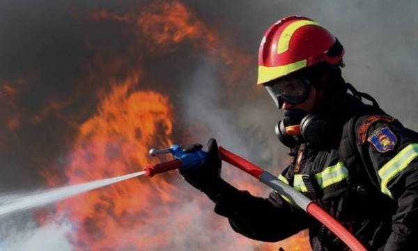 Σε εξέλιξη οι φωτιές σε Στύλια Κορίνθιας και Λύρα Μονεμβασιάς