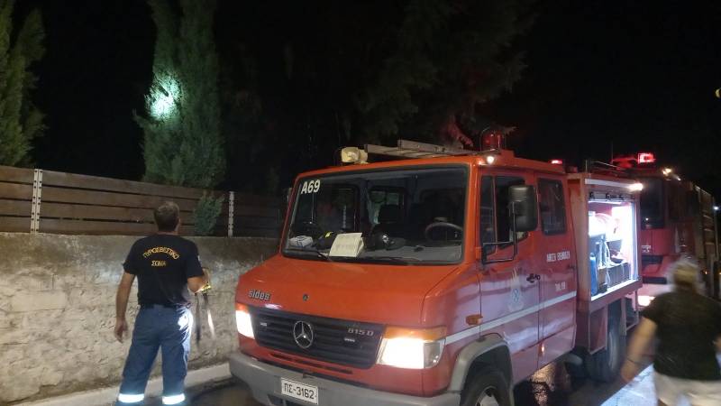 Φωτιά σε πεύκο στο Νεκροταφείο Καλαμάτας