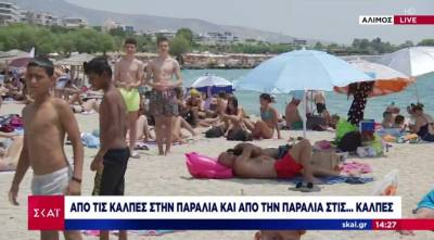 Από τις κάλπες στην παραλία και την παραλία στις... κάλπες (Βίντεο)