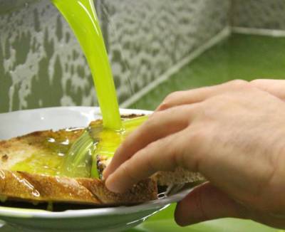 Ελαιοπαραγωγοί: «Φέτος είναι η χειρότερη χρονιά» – «Καμπανάκι» για την μείωση της παραγωγής λαδιού