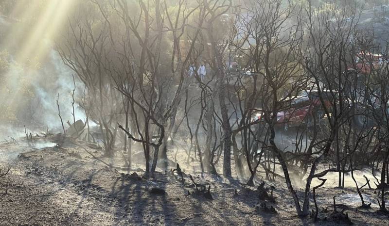 100 στρέμματα κάηκαν από τη φωτιά στο Νεοχώρι Μελιγαλά