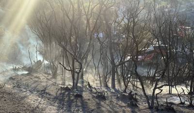 100 στρέμματα κάηκαν από τη φωτιά στο Νεοχώρι Μελιγαλά