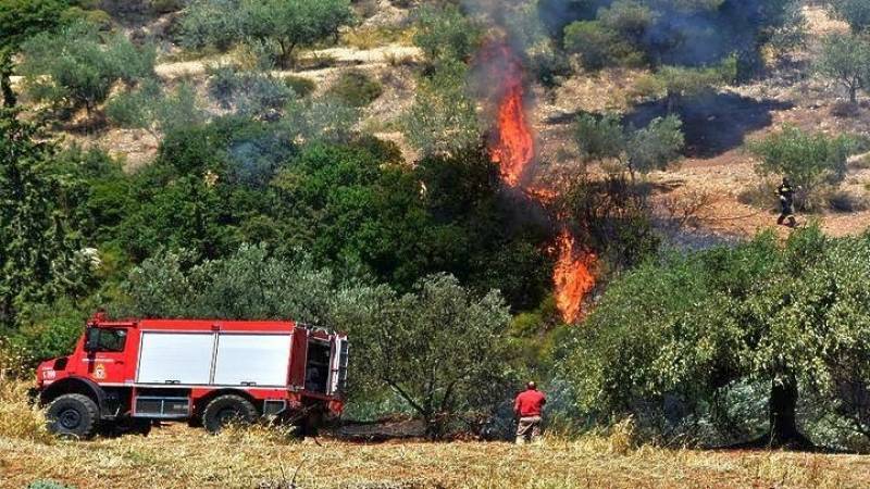 Πυροσβεστική: 70 αγροτοδασικές πυρκαγιές το τελευταίο εικοσιτετράωρο