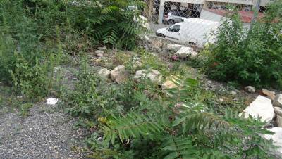 Πασαλείμματα