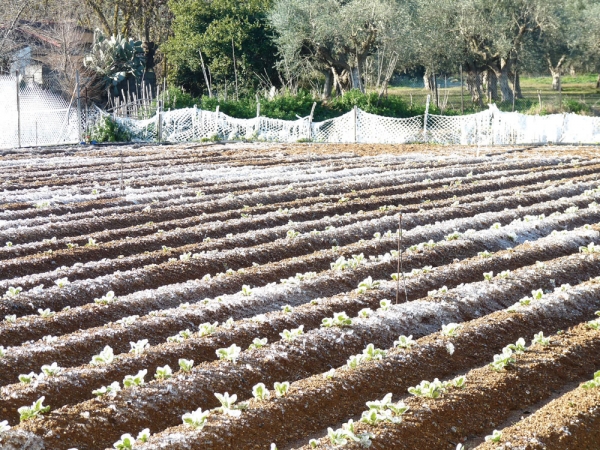 Δυσκολεύονται με το κρύο τα νοικοκυριά - Λιγότερο πετρέλαιο, στροφή στα καυσόξυλα