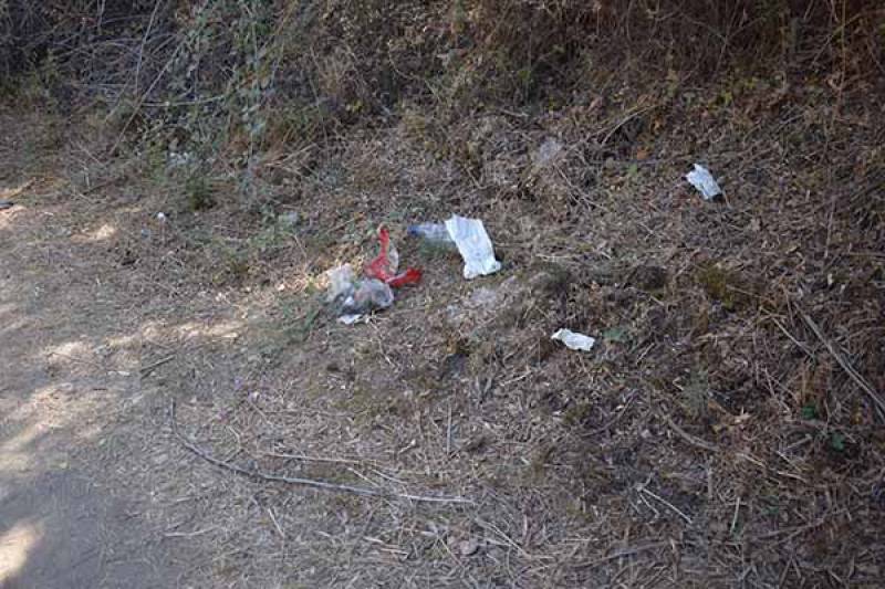 Σκουπίδια στο μονοπάτι προς την παραλία του “Φονέα”