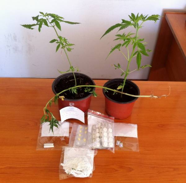 Συνελήφθη 50χρονος για ναρκωτικά στο Μελιγαλά