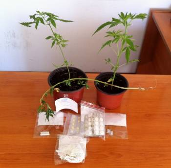 Συνελήφθη 50χρονος για ναρκωτικά στο Μελιγαλά