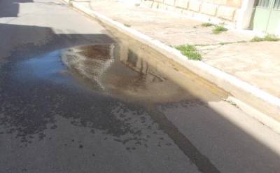 Μαύροι κρίνοι απ' τα επίπεδα του δέοντος