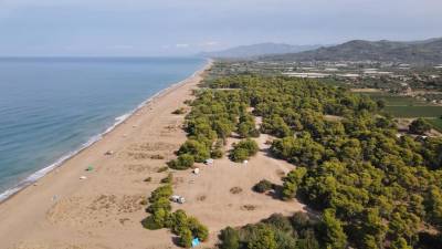 Γεμάτο παραθεριστές το πευκοδάσος της Ελαίας