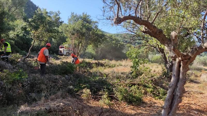 Δήμος Καλαμάτας: Σε εξέλιξη το μεγάλο έργο για την ενίσχυση της πυροπροστασίας κατοικημένων περιοχών