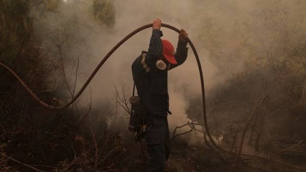Σε εξέλιξη φωτιά στην περιοχή Δρυάλια Ανατολικής Μάνης