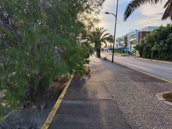 Χρειάζονται κλάδεμα