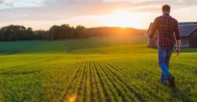 Περιφέρεια Πελοποννήσου: Αναξιοποίητος παραμένει ο αγροδιατροφικός πλούτος