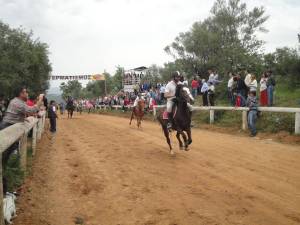 Με επιτυχία και φέτος οι ιπποδρομίες στο Πλατύ ανήμερα του Αγίου Γεωργίου (φωτογραφίες)