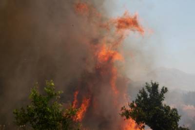 Τα αυτονόητα για τις πυρκαγιές