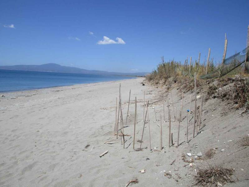 Φωλιές καρέτα - καρέτα στη Δυτική Παραλία Καλαμάτας
