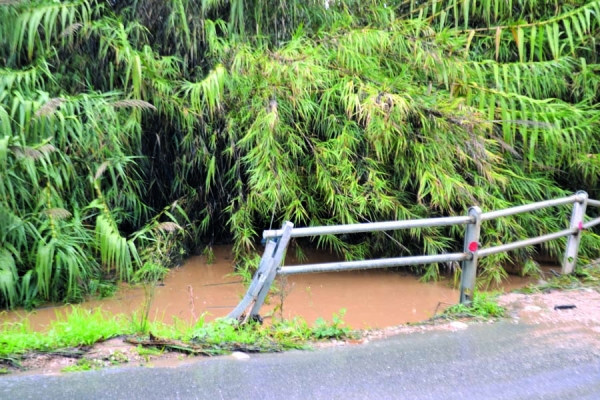 5 Μαρτίου η δημοπρασία για τη γέφυρα Λαγκούβαρδου