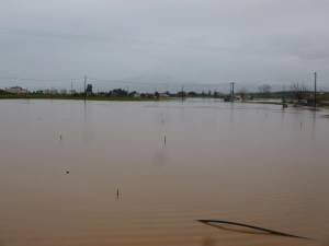 Πλημμύρισαν κτήματα με πατάτες στην Μπούκα (βίντεο και φωτογραφίες)