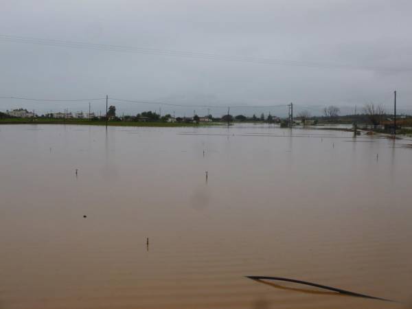 Πλημμύρισαν κτήματα με πατάτες στην Μπούκα (βίντεο και φωτογραφίες)