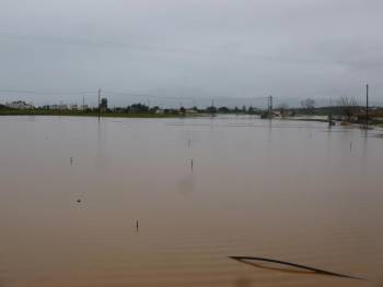 Πλημμύρισαν κτήματα με πατάτες στην Μπούκα (βίντεο και φωτογραφίες)