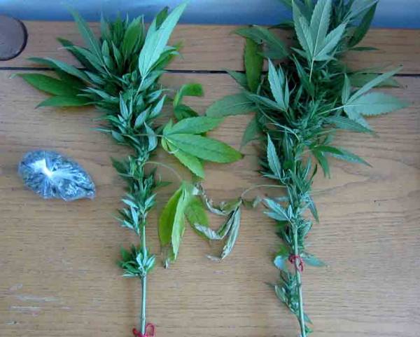 Σύλληψη 23χρονου για χασίς στο Καστρί Βόρειας Κυνουρίας