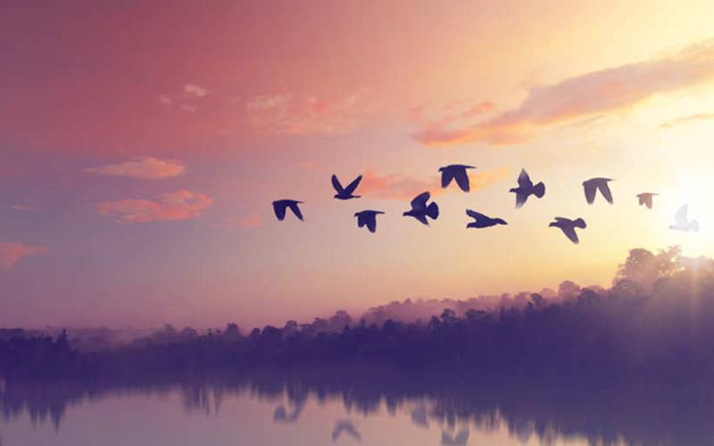 Τι λένε τα ζώδια σήμερα (12/8)