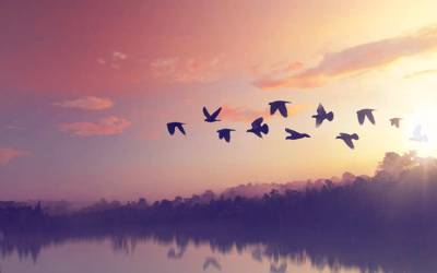 Τι λένε τα ζώδια σήμερα (12/8)