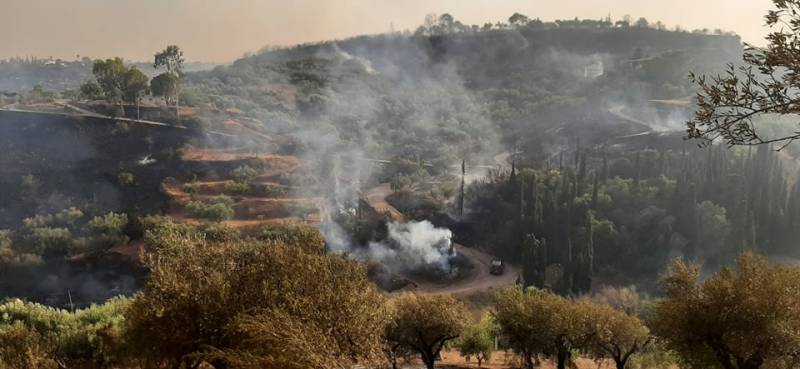 Χαρίτσης για αποζημίωση πυρόπληκτων Βασιλιτσίου