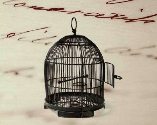 Το νέο μυθιστόρημα της Λίτσας Καραμπίνη: "Κορόιδα... σας την έσκασα!"