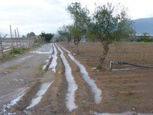 Αναγγελία ζημιάς για το χαλάζι