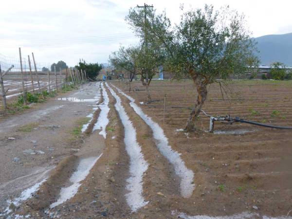 Αναγγελία ζημιάς για το χαλάζι