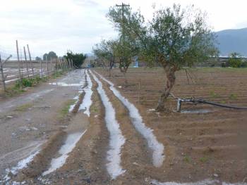 Αναγγελία ζημιάς για το χαλάζι