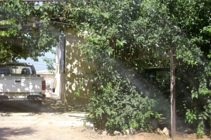 3 κακοποιοί λήστεψαν 2 σπίτια στην Τερψιθέα