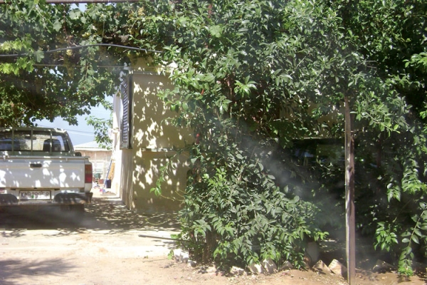 3 κακοποιοί λήστεψαν 2 σπίτια στην Τερψιθέα