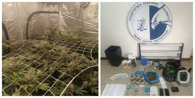 Θερμοκήπια κάνναβης στην Τρίπολη ξετρύπωσε η Δίωξη Ναρκωτικών Καλαμάτας (βίντεο-φωτογραφίες)