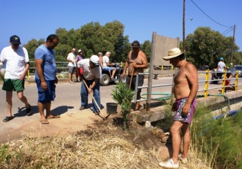 Δενδροφύτευση στην παραλάι Πανταζή στον Αγιο Νικόλαο
