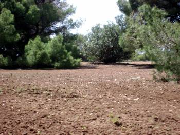 Η εταιρεία υποστηρίζει ότι όλα έγιναν νόμιμα στο οικόπεδο 306 στρεμμάτων