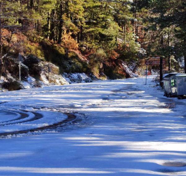 Έπεσαν τα πρώτα χιόνια στον Ταΰγετο (φωτογραφίες)