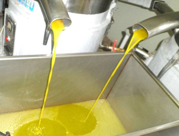 Ενημέρωση για το ΠΟΠ Καλαμάτα στα Φιλιατρά